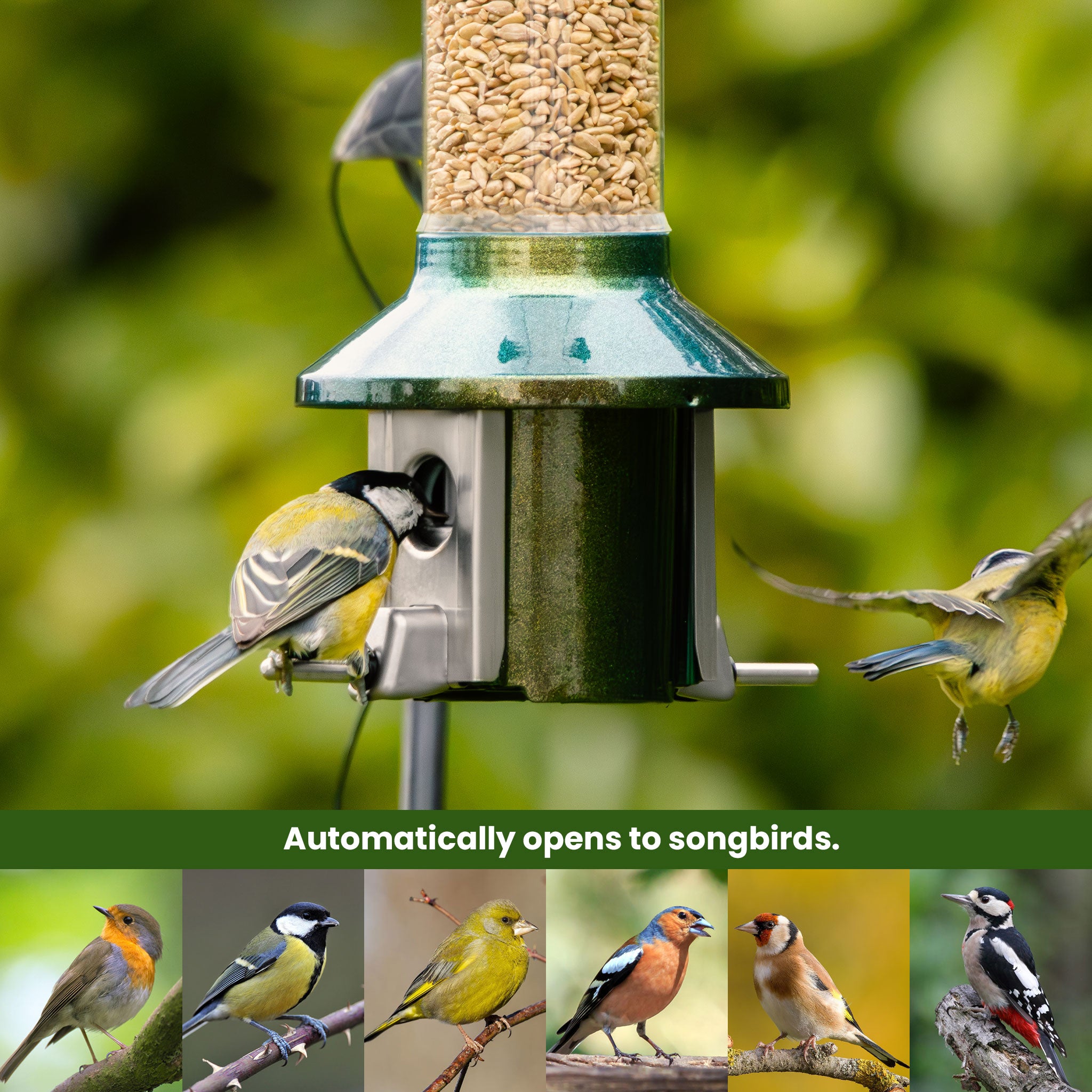 Roamwild PestOff Bird Feeder 3.0