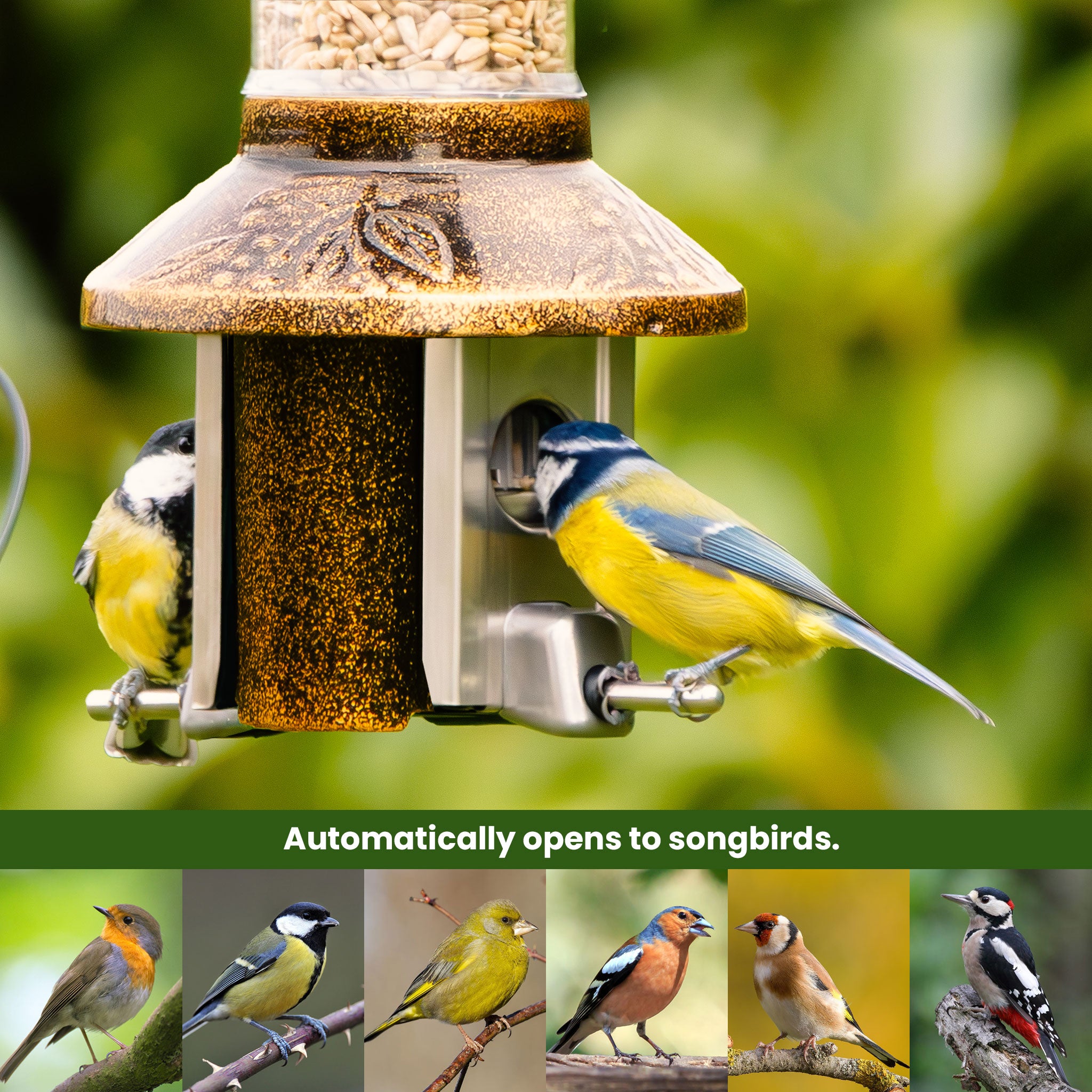 Roamwild PestOff Bird Feeder 3.0