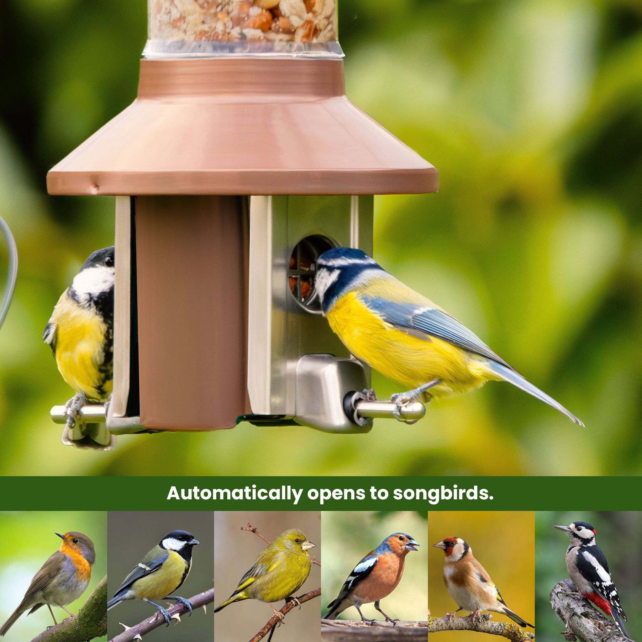 Roamwild PestOff Bird Feeder 3.0