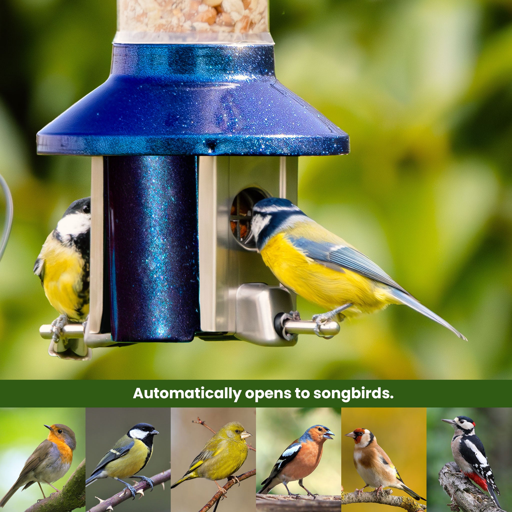 Roamwild PestOff Bird Feeder 3.0