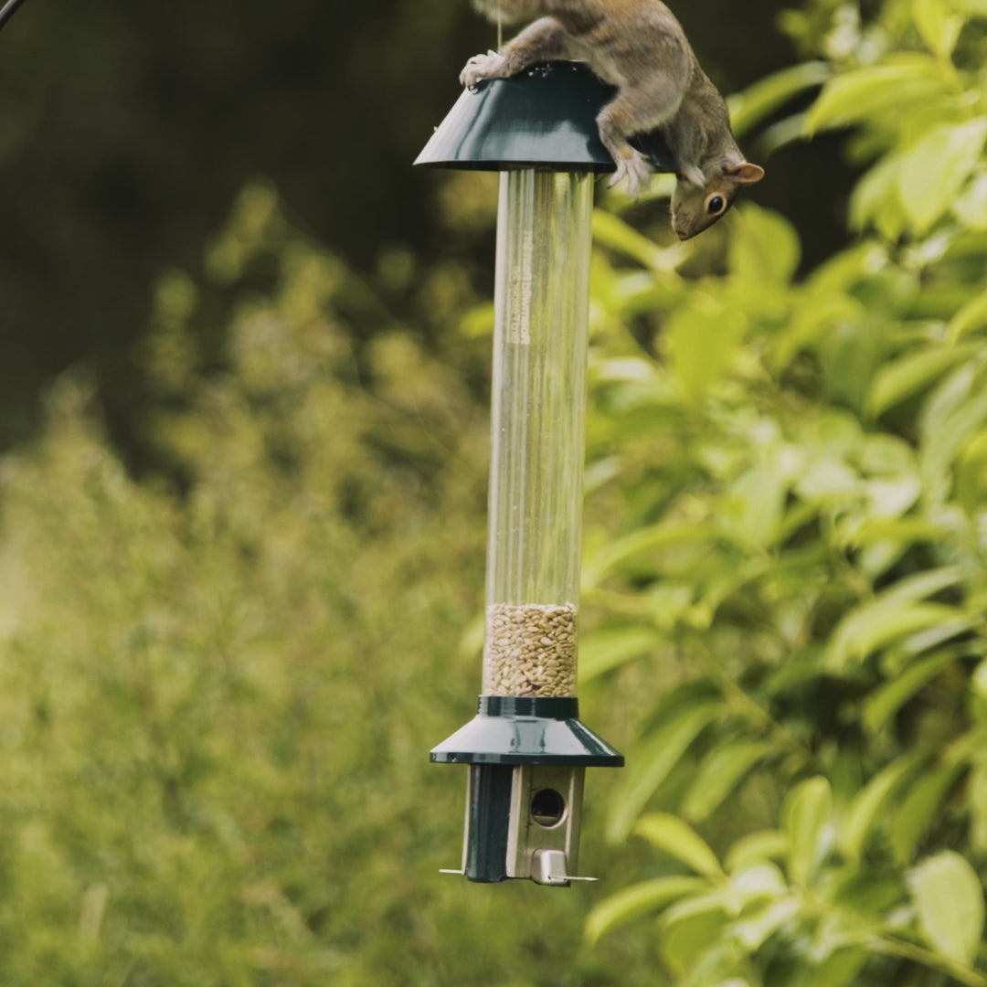 Video laden: Roamwild PestOff Eichhörnchensicheres Vogelfutterhaus 2.0 