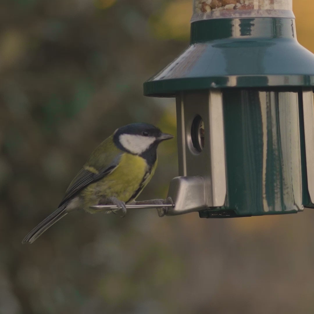 Video laden: Roamwild PestOff Eichhörnchensicheres Vogelfutterhaus 2.0 für Erdnüsse/Mehlwürmer 