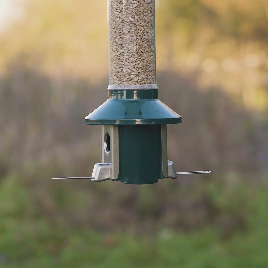 Load video: Roamwild PestOff Squirrel Proof Bird Feeder 2.0 For Mixed Seed/Sunflower Hearts