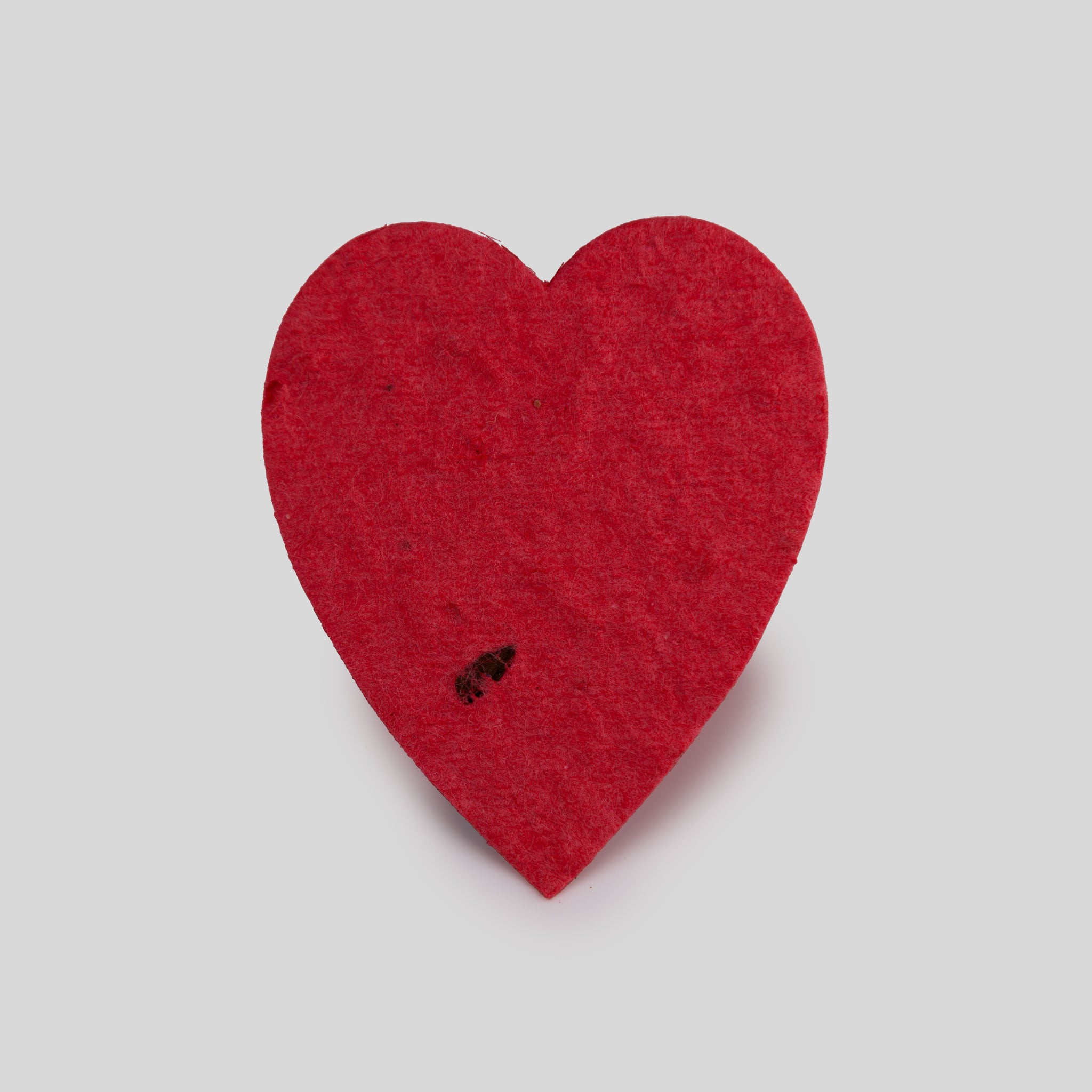 Roamwild Seeded Paper Shapes - Pack Of 50 (Red Heart)