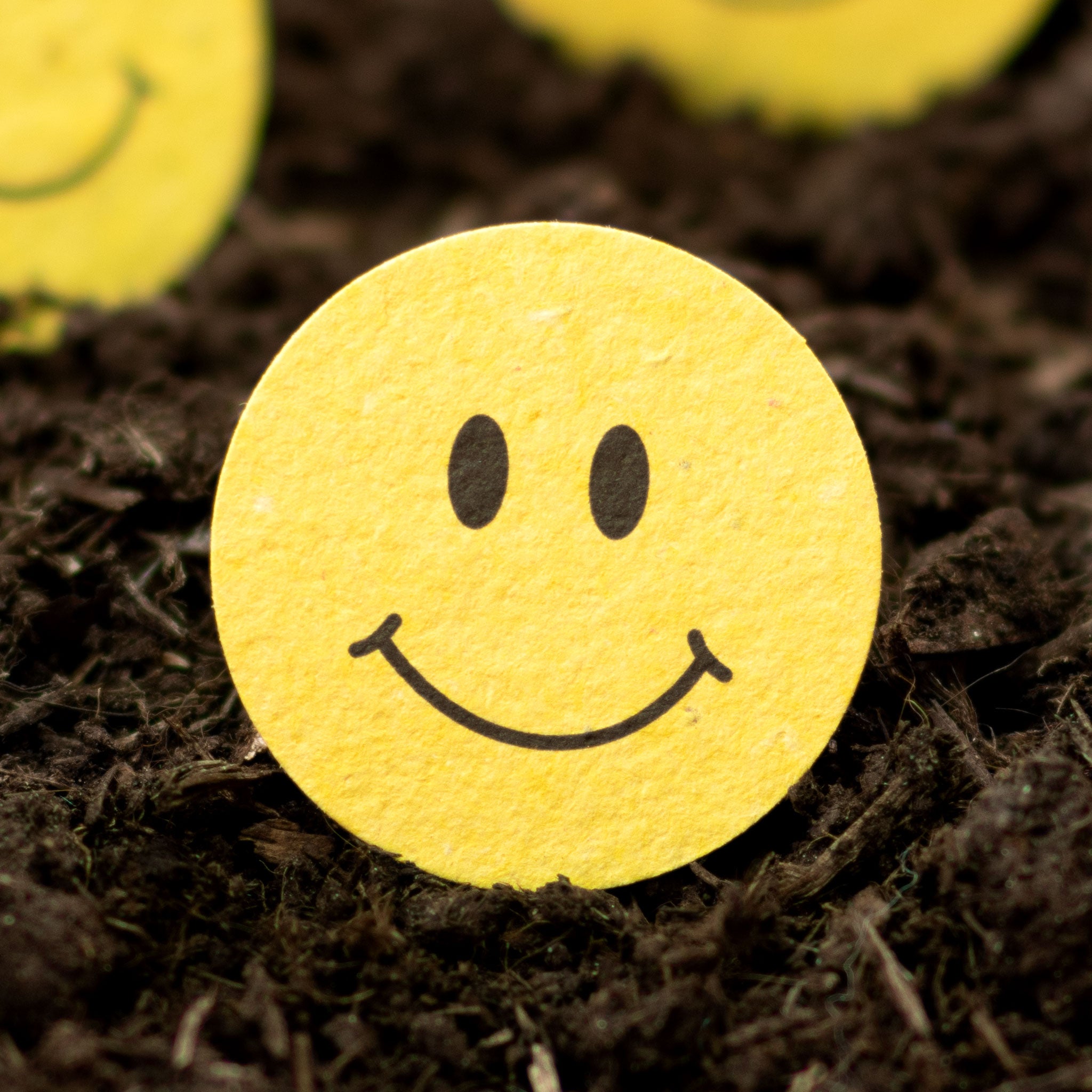 Roamwild Samenpapierformen – 100er-Pack (Smiley-Gesicht) 