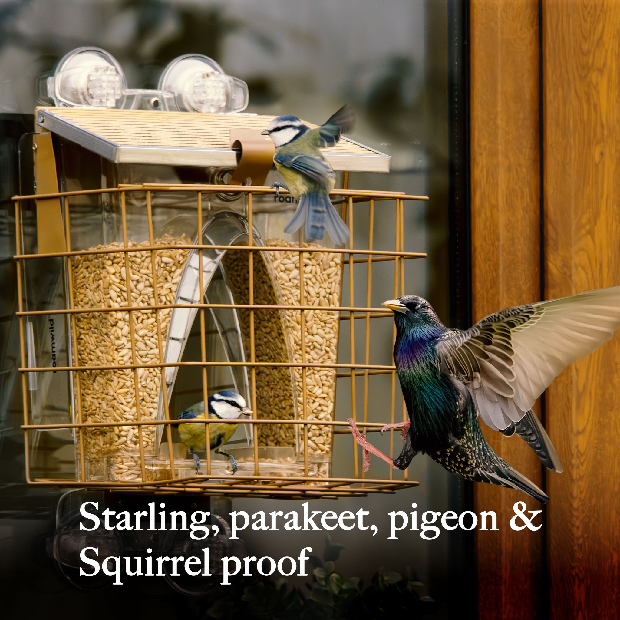 Bogenfenster-Futterspender: Eichhörnchensicheres Käfigzubehör