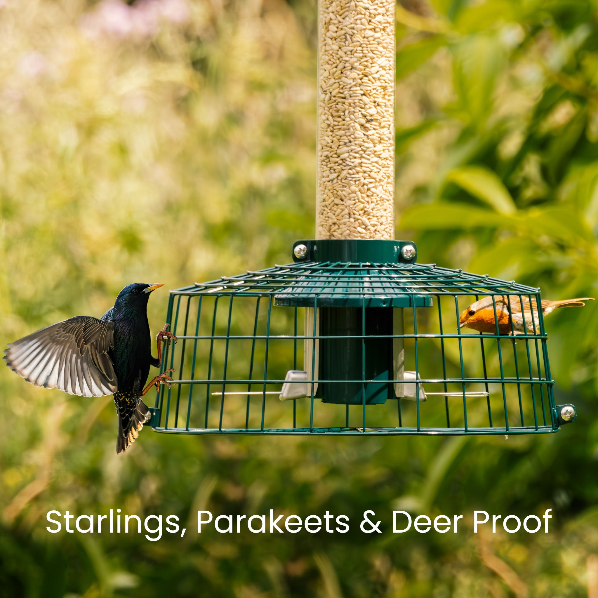 Roamwild PestOff Starling Proof Cage Accessory