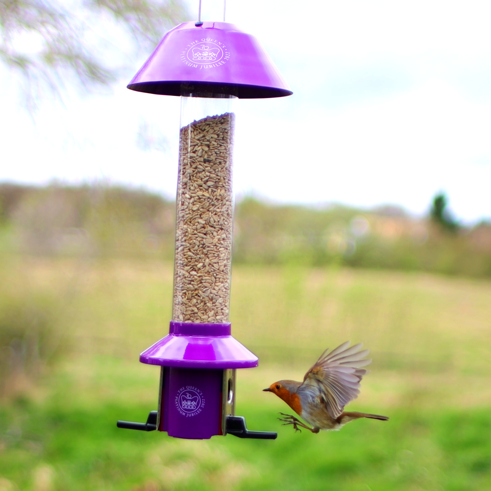 Roamwild PestOff Eichhörnchensicheres Vogelfutterhaus | Platin-Jubiläum