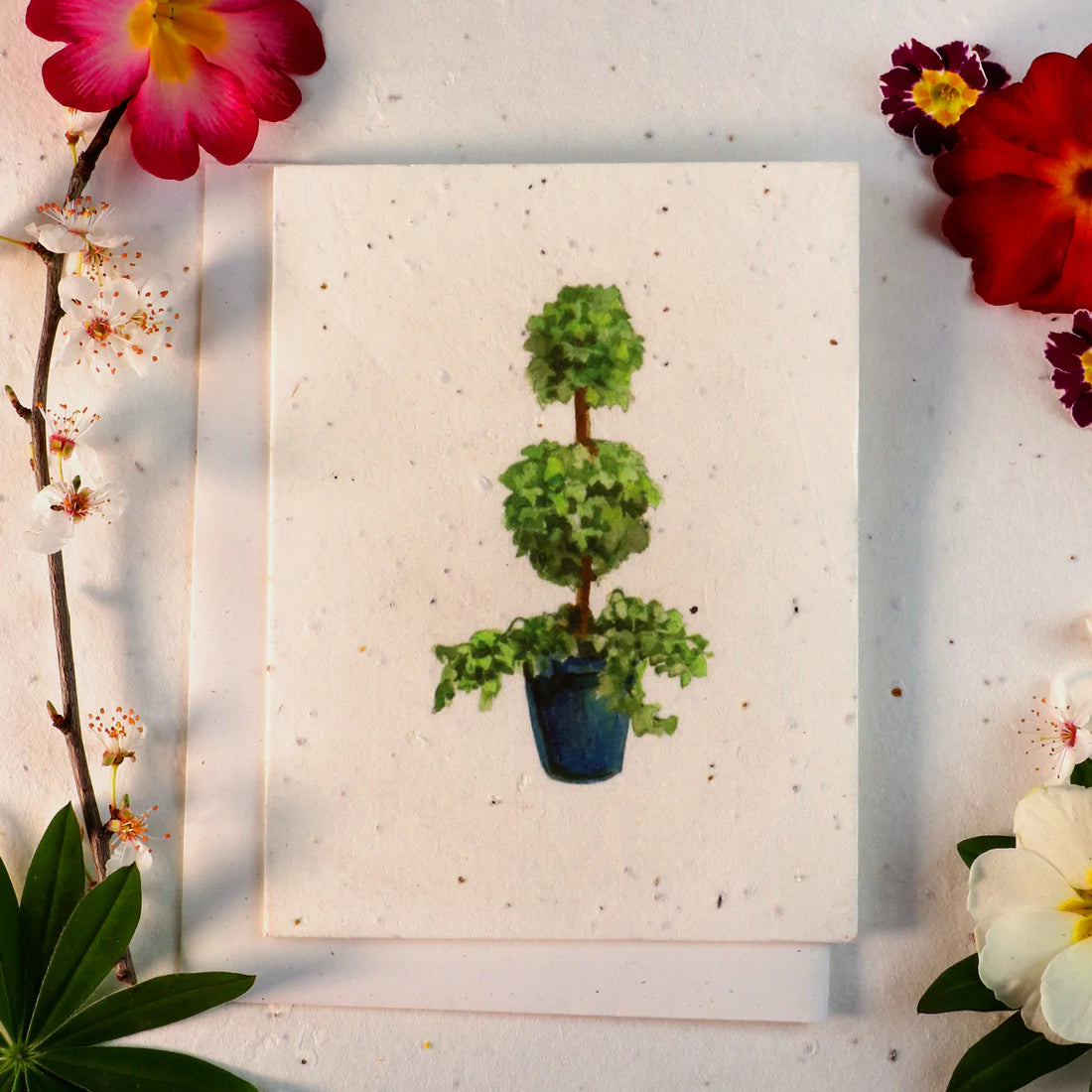 Seeded Cards That Grow Into Flowers (Topiary Tree)
