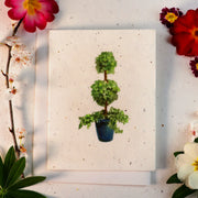 Samenkarten, die zu Blumen wachsen (Topiary Tree)