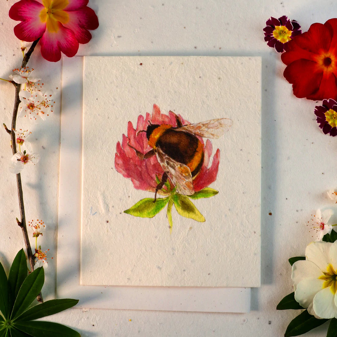 Gezaaide kaarten die uitgroeien tot bloemen (hommel)