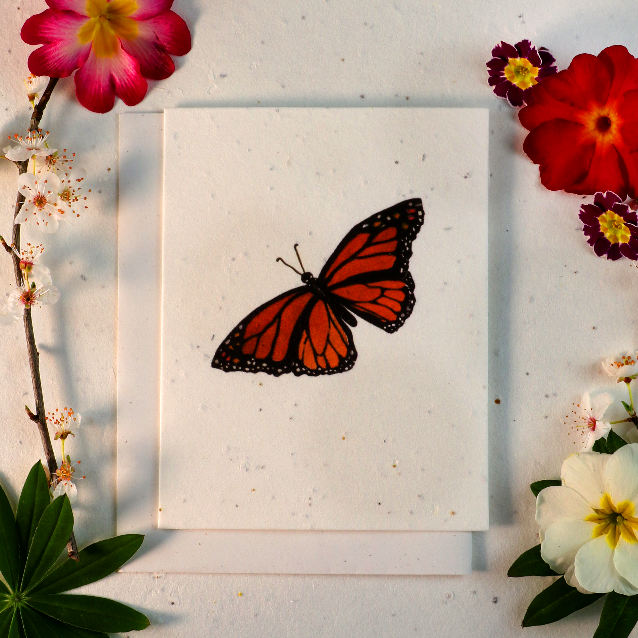 Gezaaide kaarten die uitgroeien tot bloemen (vlinder)