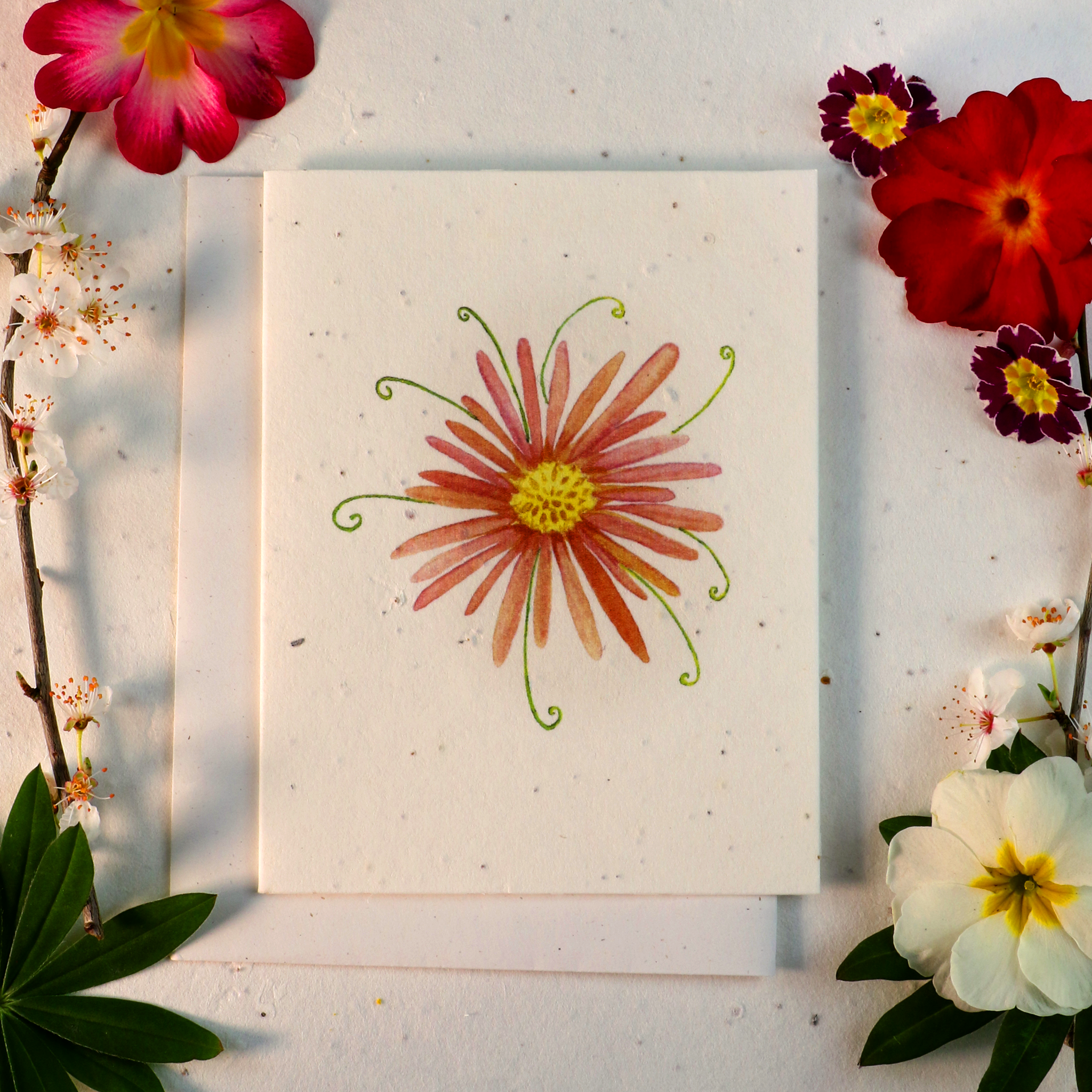 Gezaaide kaarten die uitgroeien tot bloemen (Whimsy Flower)