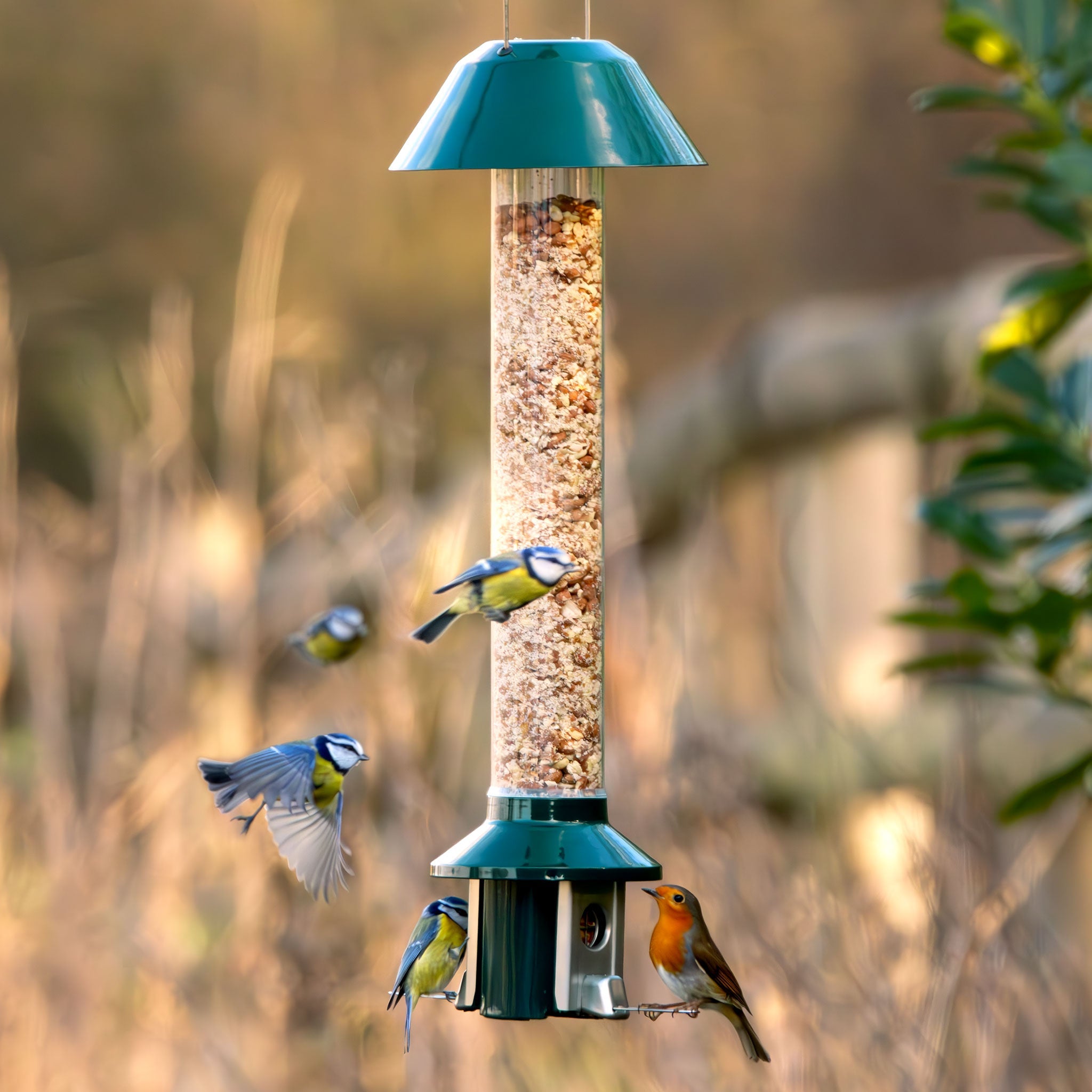 Roamwild PestOff Eichhörnchensicheres Vogelfutterhaus 2.0 für Erdnüsse/Mehlwürmer 