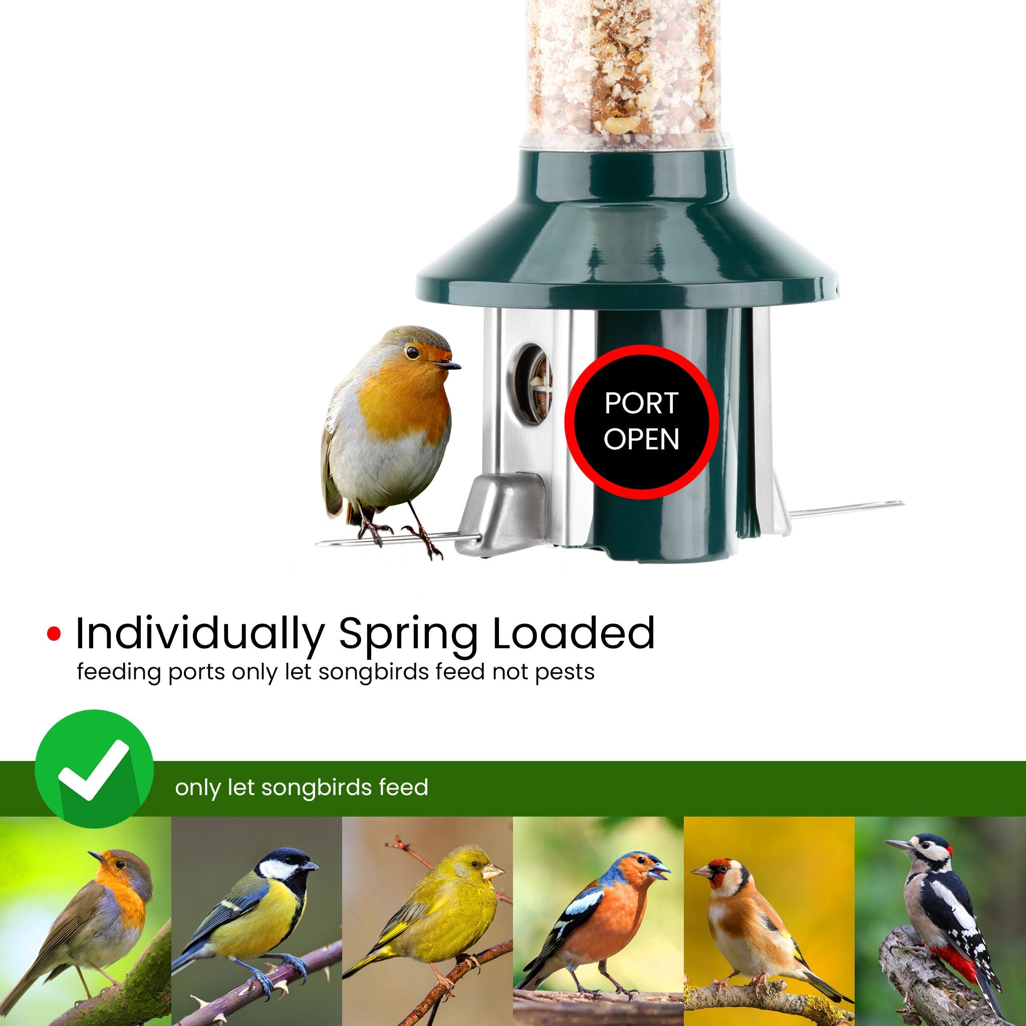 Roamwild PestOff Squirrel Proof Bird Feeder 2.0 For Peanut/Mealworms